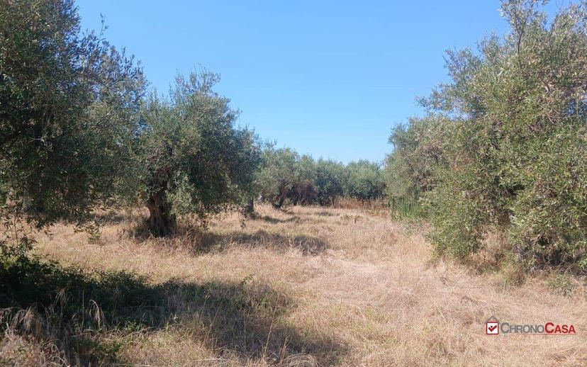 Rustico, da ristrutturare, 180 m², Ortoliuzzo - San Saba, Messina — foto 8 di 23