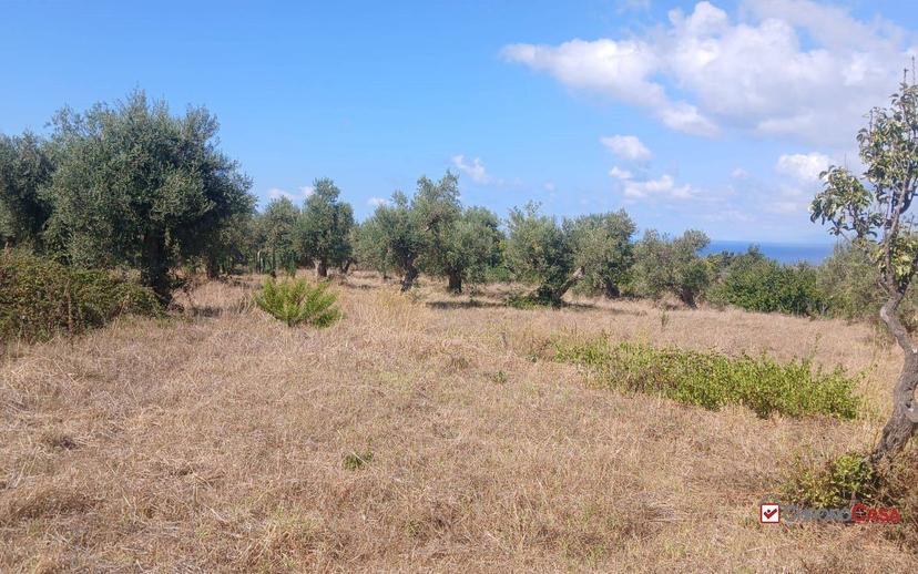 Rustico, da ristrutturare, 180 m², Ortoliuzzo - San Saba, Messina — foto 4 di 23