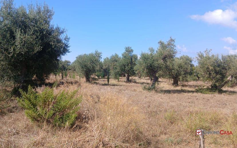 Rustico, da ristrutturare, 180 m², Ortoliuzzo - San Saba, Messina — foto 16 di 23