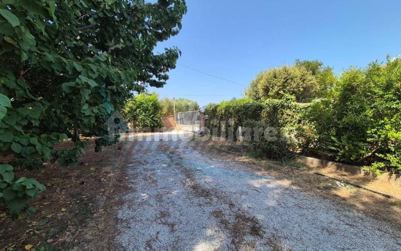Villa a schiera Località Stradone dei Fichi, Vada, Rosignano Marittimo — foto 15 di 25