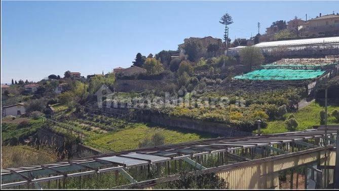 Loft Strada Solaro Rapalin 112, Solaro, Sanremo — foto 10 di 13