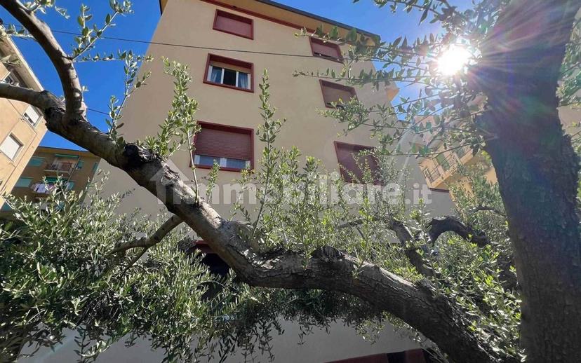 Quadrilocale ottimo stato, piano terra, Colli, La Spezia — foto 26 di 30