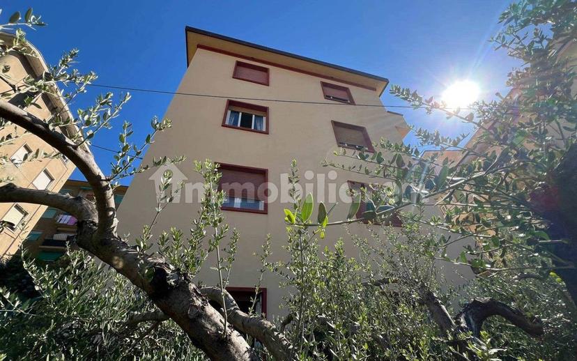 Quadrilocale ottimo stato, piano terra, Colli, La Spezia — foto 25 di 30