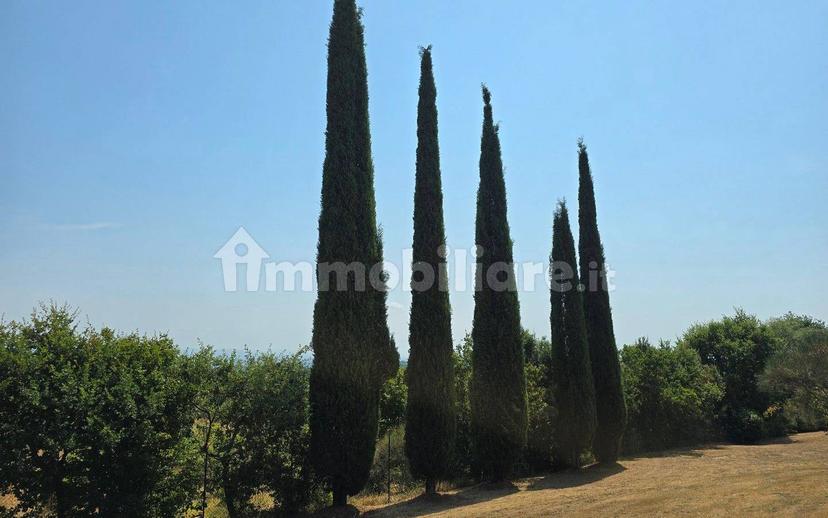 Casale via dei Frati, Sinalunga — foto 6 di 21