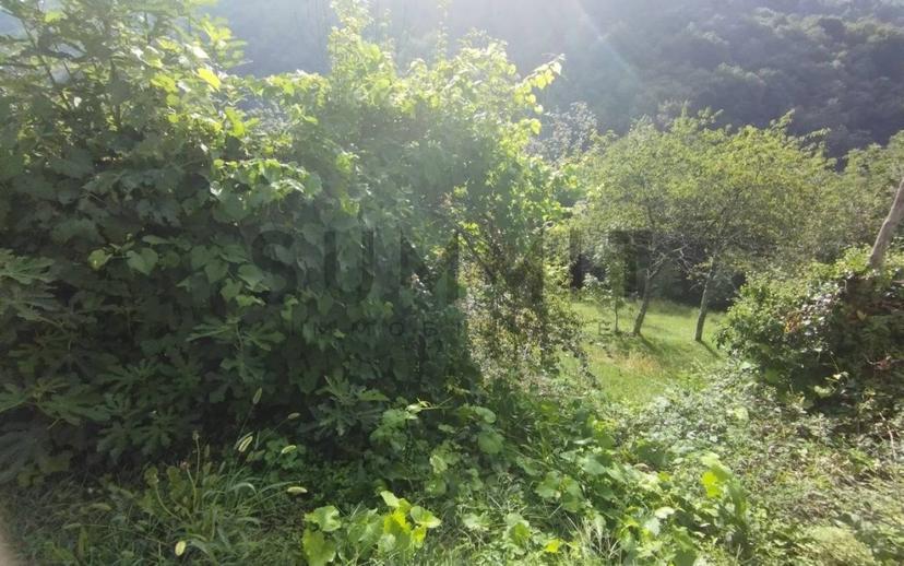 Rustico, da ristrutturare, 200 m², Staro, Valli del Pasubio — foto 11 di 12