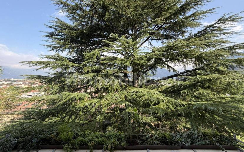 Trilocale buono stato, secondo piano, Oltrisarco - Aslago, Bolzano — foto 15 di 22