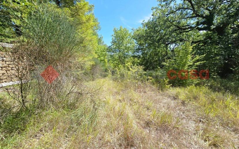 Casale Località Colle Civetta, snc, Centro, Morro Reatino — foto 14 di 15