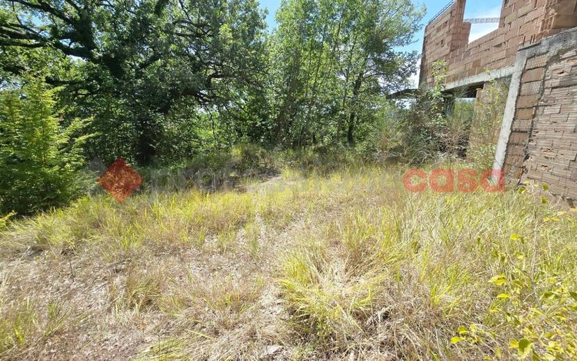 Casale Località Colle Civetta, snc, Centro, Morro Reatino — foto 12 di 15