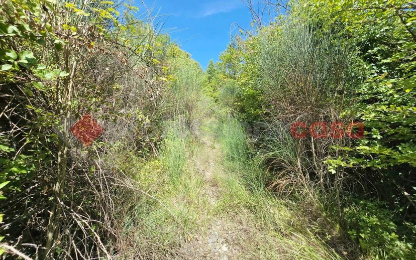 Casale Località Colle Civetta, snc, Centro, Morro Reatino — foto 15 di 15