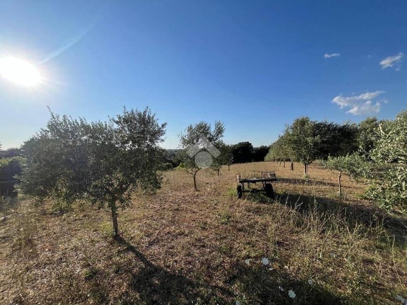 Quadrilocale via Bormida 7, Casalazzara - Torre Bruna, Aprilia — foto 42 di 45
