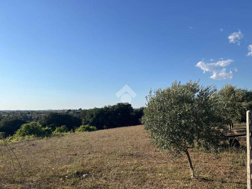 Quadrilocale via Bormida 7, Casalazzara - Torre Bruna, Aprilia — foto 12 di 45