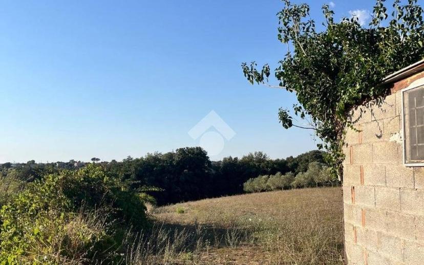 Quadrilocale via Bormida 7, Casalazzara - Torre Bruna, Aprilia — foto 15 di 45