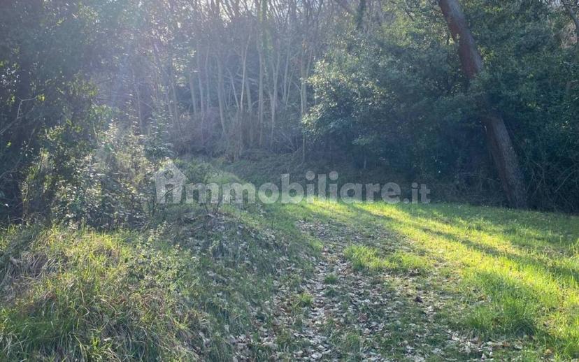 Rustico via delle selvette 111, Camaiore Paese, Camaiore — foto 6 di 28