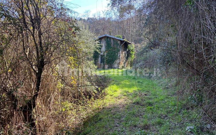 Rustico via delle selvette 111, Camaiore Paese, Camaiore — foto 13 di 28