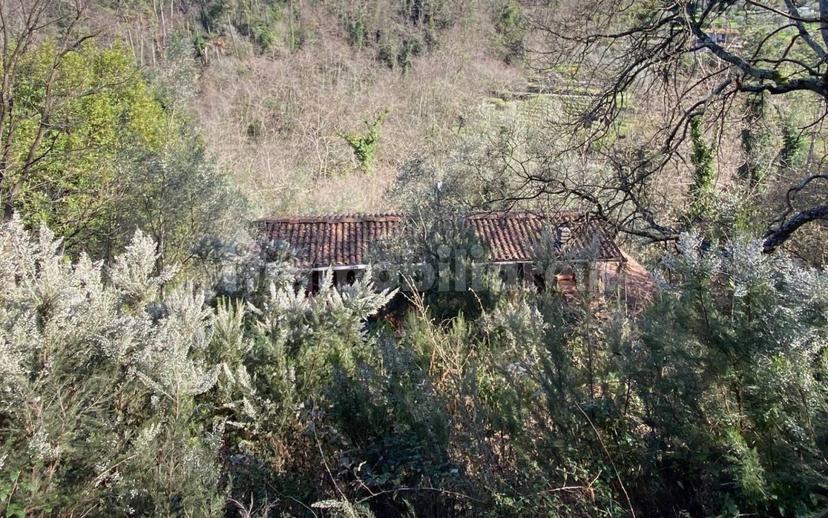 Rustico via delle selvette 111, Camaiore Paese, Camaiore — foto 20 di 28