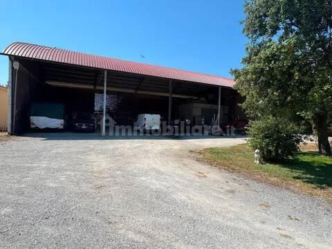 Villa unifamiliare Strada Provinciale Delle Caldanelle, Piombino — foto 13 di 34