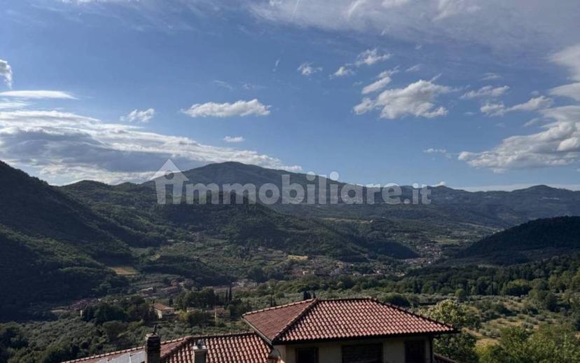 Villa unifamiliare via di Faltugnano, Vaiano — foto 29 di 30