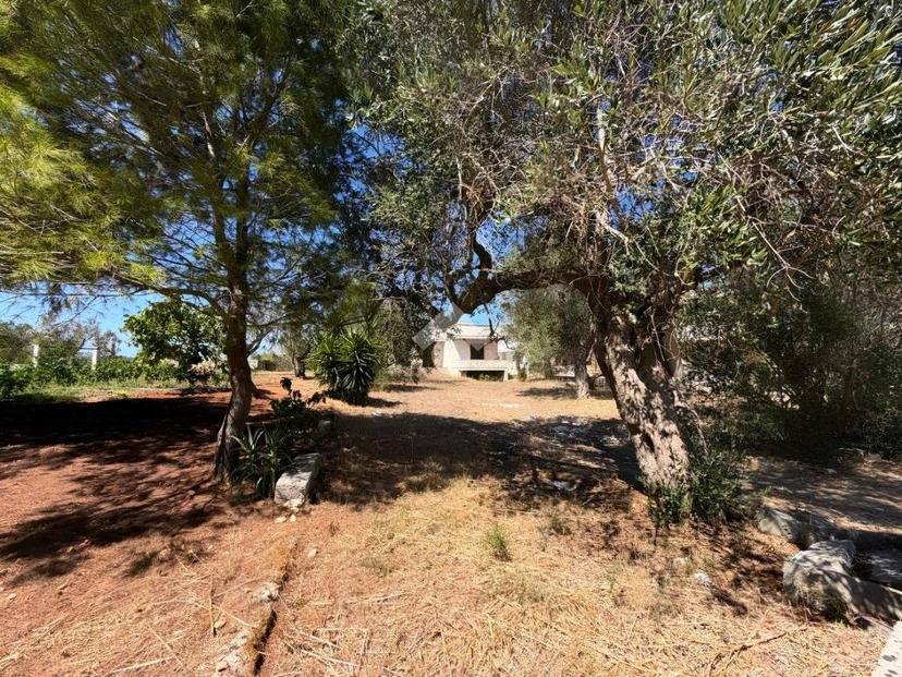 Rustico via Giovanni XXIII, Galatone — foto 10 di 26
