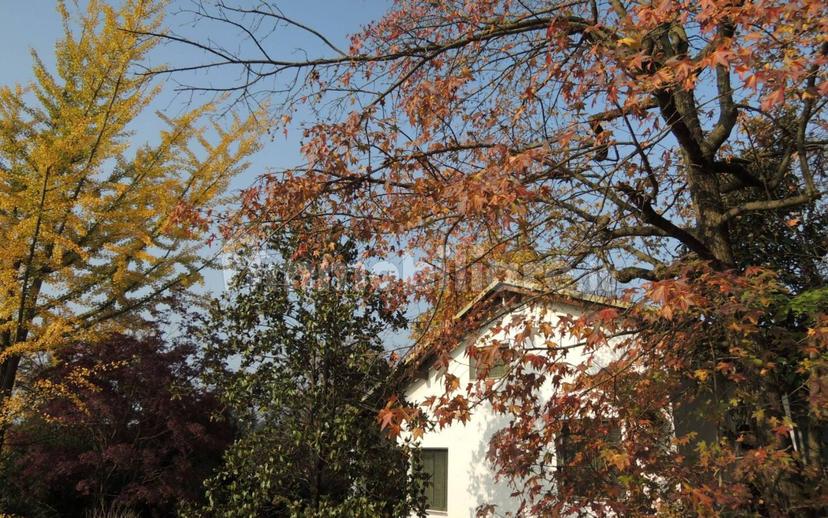 Villa unifamiliare Strada Marie 7, Centro, Bra — foto 22 di 46
