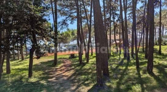 Appartamento Arco del Grecale, 2, Centro, Lignano Sabbiadoro — foto 3 di 23