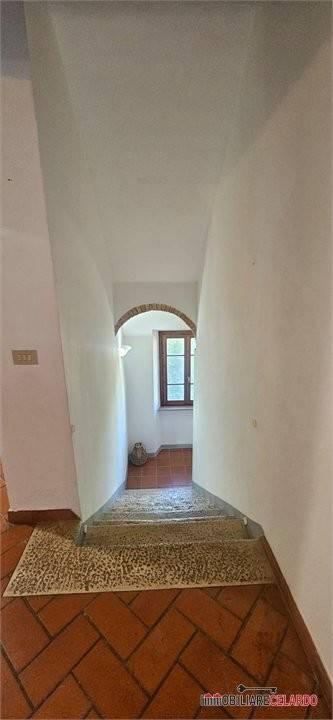 Quadrilocale piano terra, Gracciano, Selvamaggio, Belvedere, Colle di Val d'Elsa — foto 6 di 21