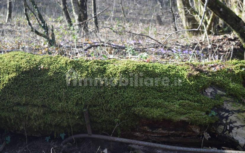 Terratetto unifamiliare via Storaia Nuova, Vernio — foto 40 di 54