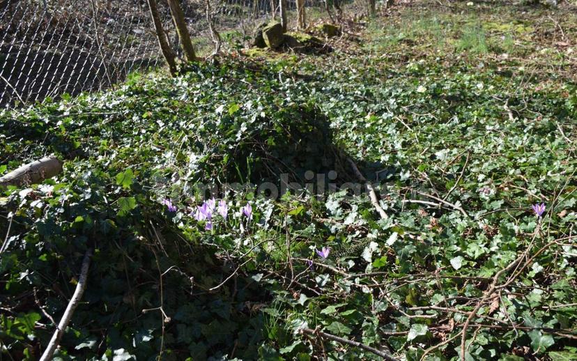 Terratetto unifamiliare via Storaia Nuova, Vernio — foto 37 di 54