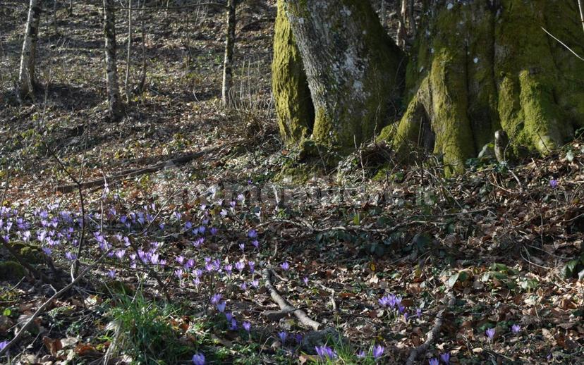 Terratetto unifamiliare via Storaia Nuova, Vernio — foto 16 di 54
