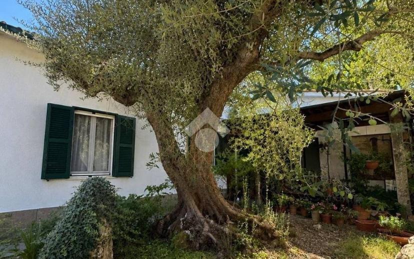 Villa unifamiliare Località Montecchie 22, Penna in Teverina — foto 18 di 40