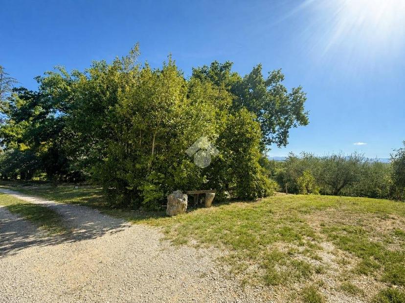Villa unifamiliare Località Montecchie 22, Penna in Teverina — foto 11 di 40
