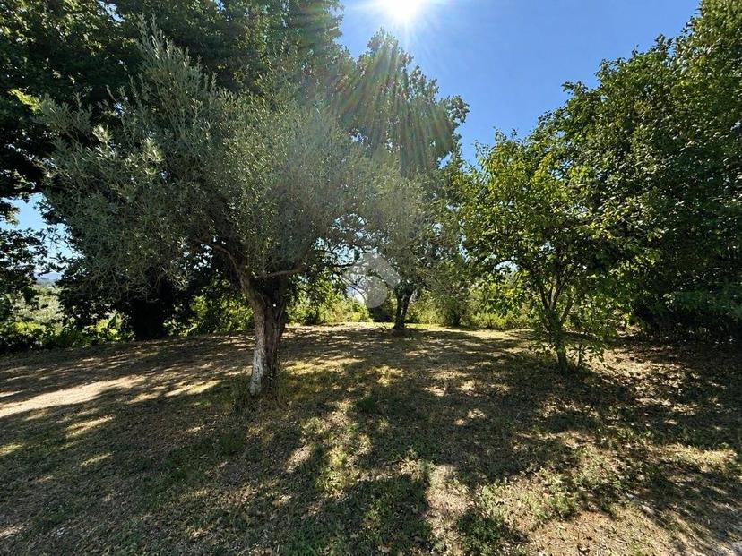 Villa unifamiliare Località Montecchie 22, Penna in Teverina — foto 20 di 40