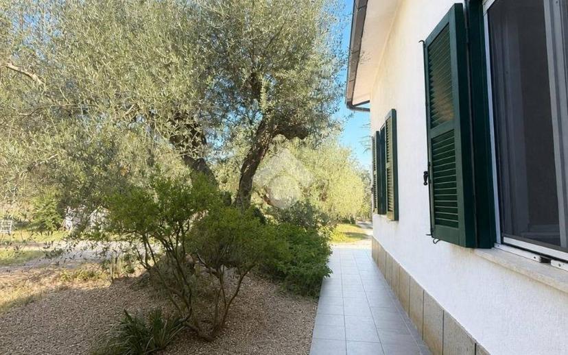 Villa unifamiliare Località Montecchie 22, Penna in Teverina — foto 17 di 40