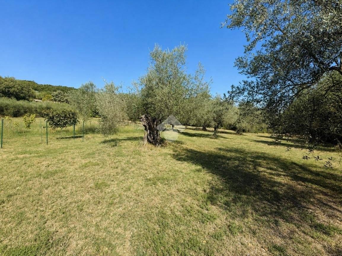 Villa unifamiliare Località Montecchie 22, Penna in Teverina