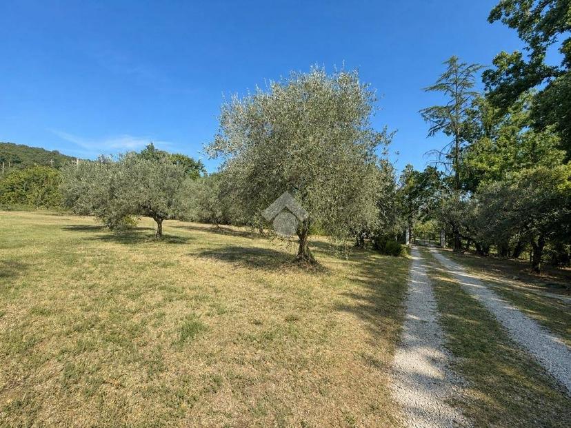 Villa unifamiliare Località Montecchie 22, Penna in Teverina — foto 27 di 40