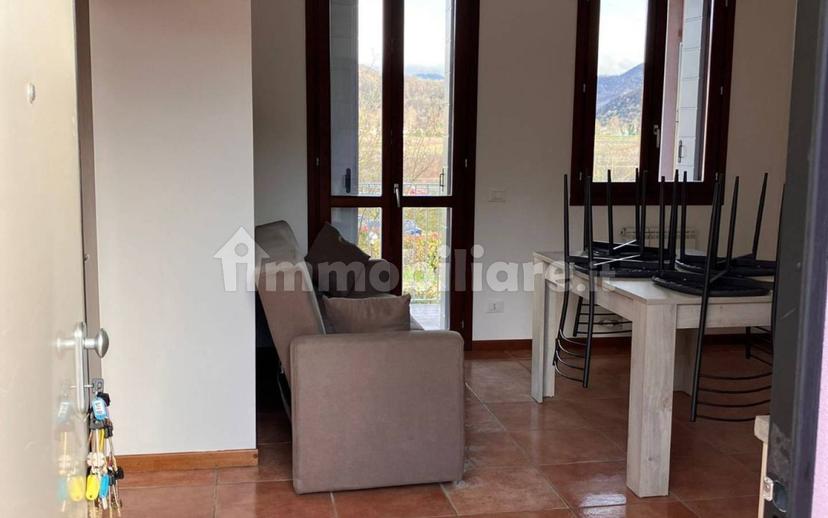 Trilocale ottimo stato, primo piano, Centro, Lozzo Atestino — foto 2 di 10