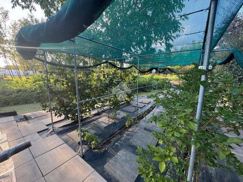 Villa unifamiliare via Circonvallazione, Centro, Monticelli d'Ongina — foto 29 di 36