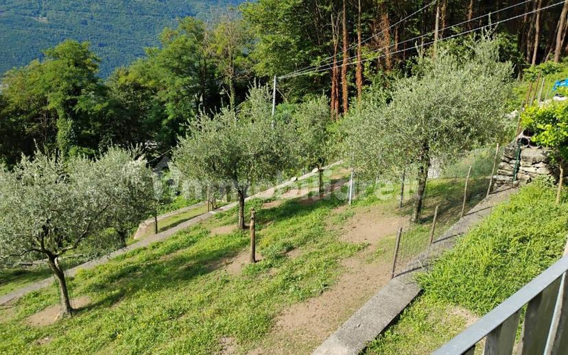 Terratetto unifamiliare via San Giovanni, Traona — foto 20 di 24