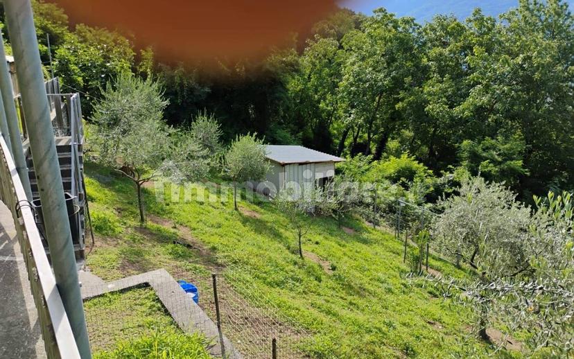 Terratetto unifamiliare via San Giovanni, Traona — foto 14 di 24