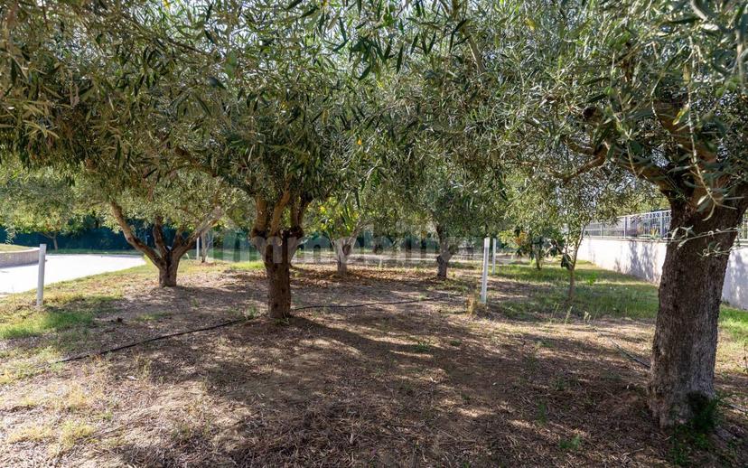 Villa unifamiliare Località Fenosu, Oristano — foto 34 di 73