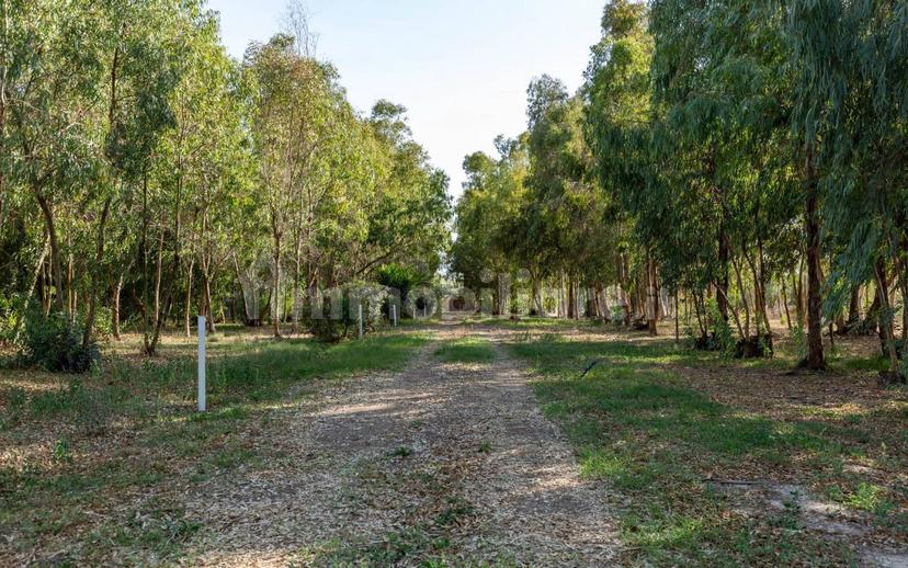 Villa unifamiliare Località Fenosu, Oristano — foto 51 di 73