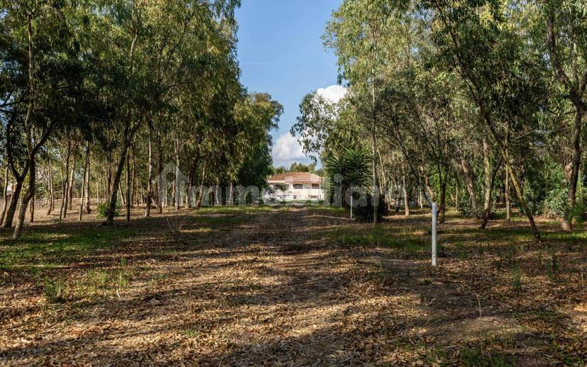 Villa unifamiliare Località Fenosu, Oristano — foto 28 di 73