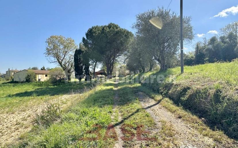 Casale via Roma, Centro, Collesalvetti — foto 9 di 47