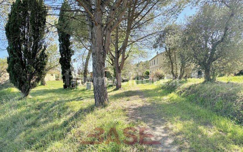 Casale via Roma, Centro, Collesalvetti — foto 31 di 47