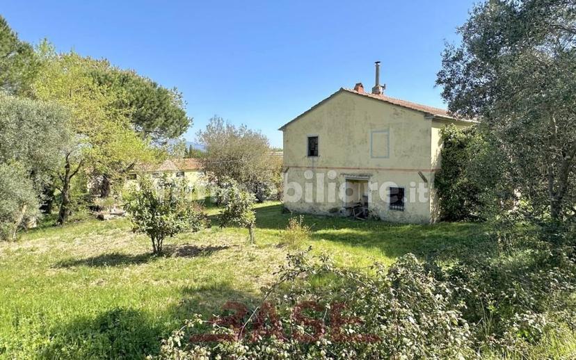 Casale via Roma, Centro, Collesalvetti — foto 12 di 47