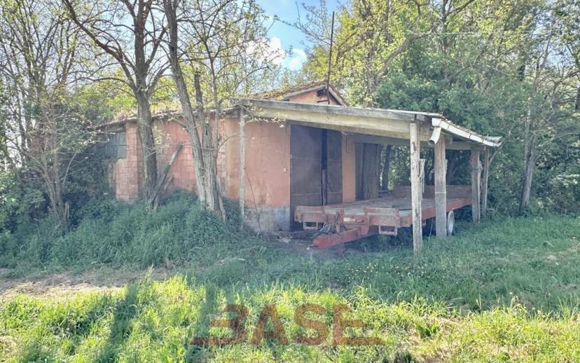 Casale via Roma, Centro, Collesalvetti — foto 30 di 47