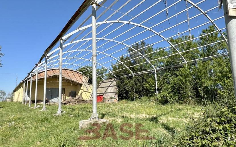 Casale via Roma, Centro, Collesalvetti — foto 21 di 47