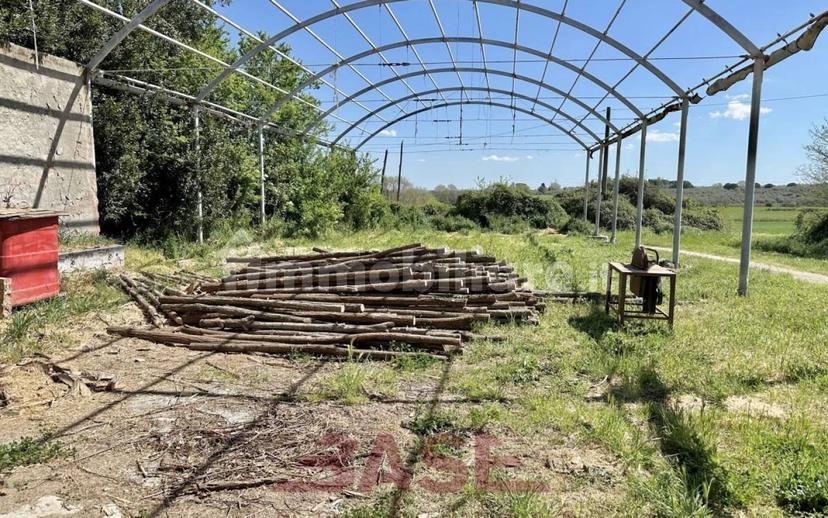 Casale via Roma, Centro, Collesalvetti — foto 16 di 47