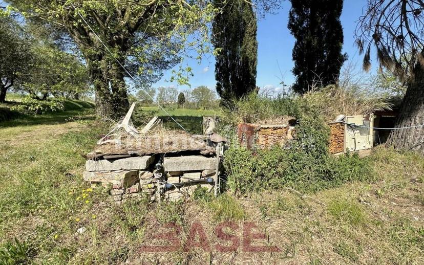 Casale via Roma, Centro, Collesalvetti — foto 3 di 47