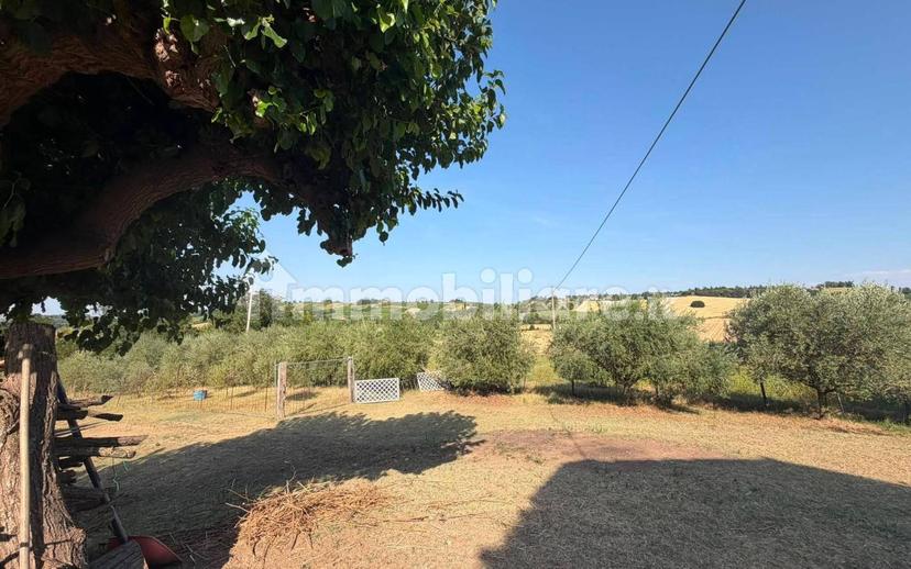 Casale via delle Motte, Bertinoro — foto 8 di 13