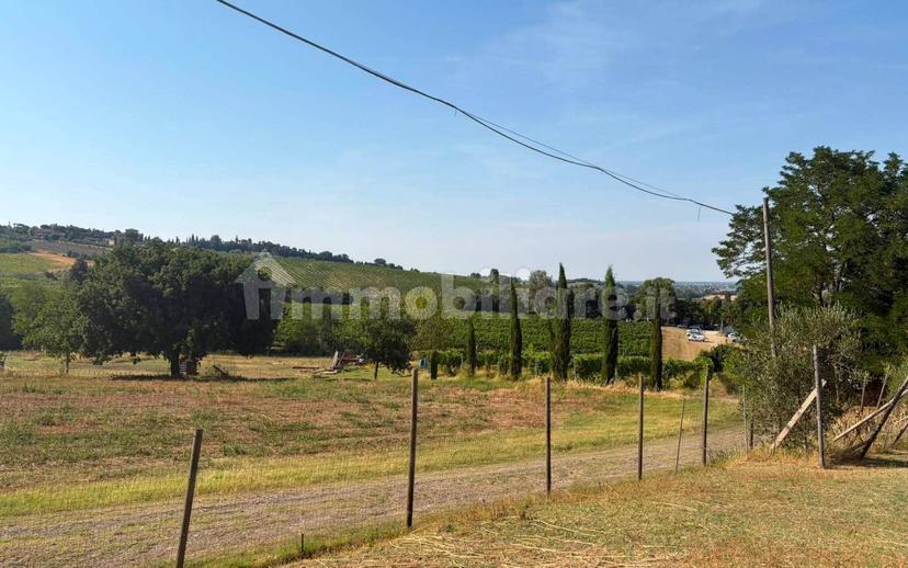 Casale via delle Motte, Bertinoro — foto 13 di 13